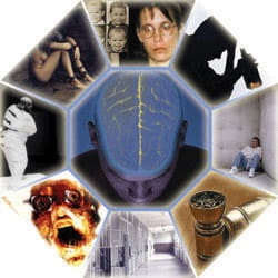 Frankenstein at 200 Years: Contemporary, Ethical, Scientific, and Social Relevance
